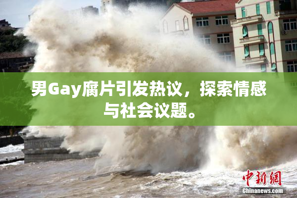男Gay腐片引发热议，探索情感与社会议题。