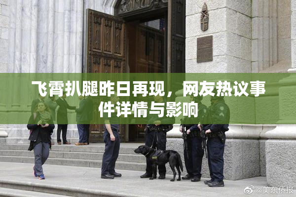 飞霄扒腿昨日再现，网友热议事件详情与影响