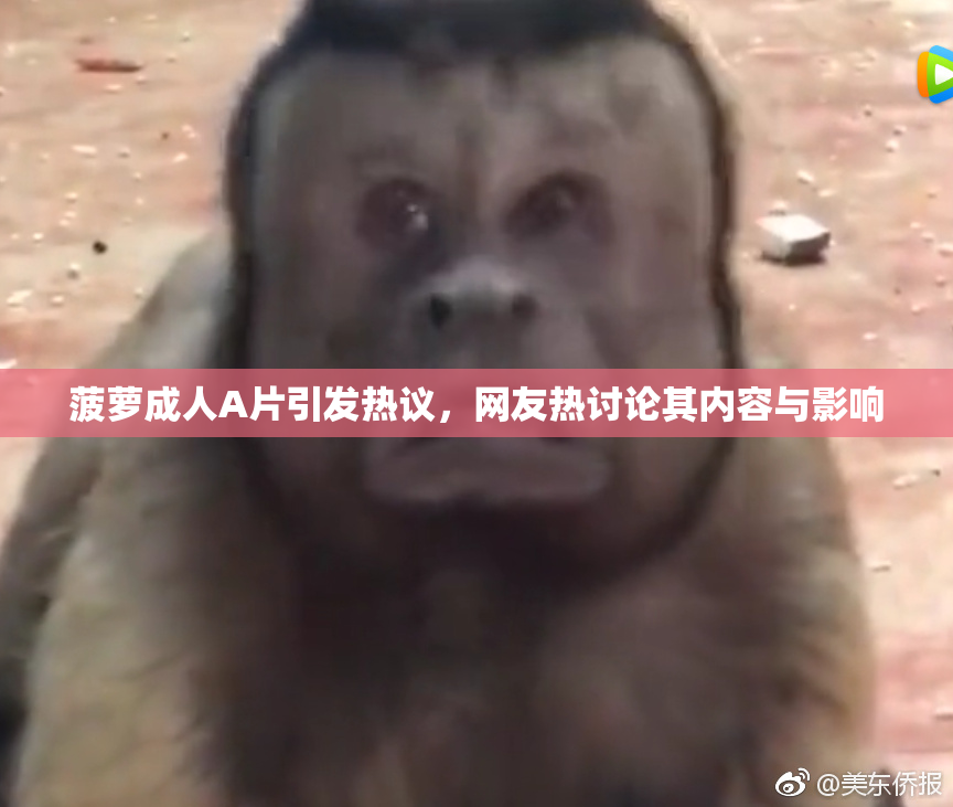 菠萝成人A片引发热议，网友热讨论其内容与影响