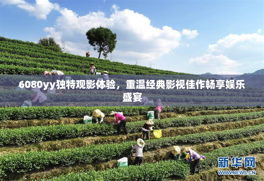 6080yy独特观影体验，重温经典影视佳作畅享娱乐盛宴