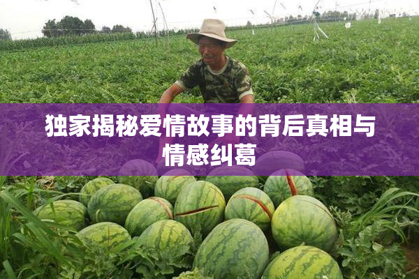 独家揭秘爱情故事的背后真相与情感纠葛
