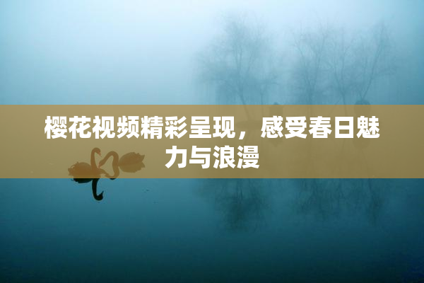 樱花视频精彩呈现，感受春日魅力与浪漫