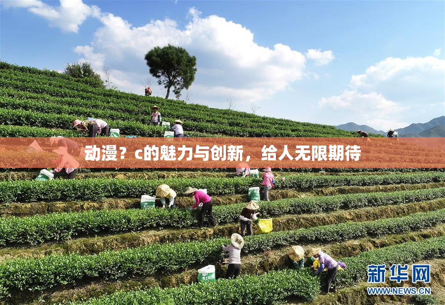 动漫？c的魅力与创新，给人无限期待