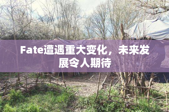 Fate遭遇重大变化，未来发展令人期待
