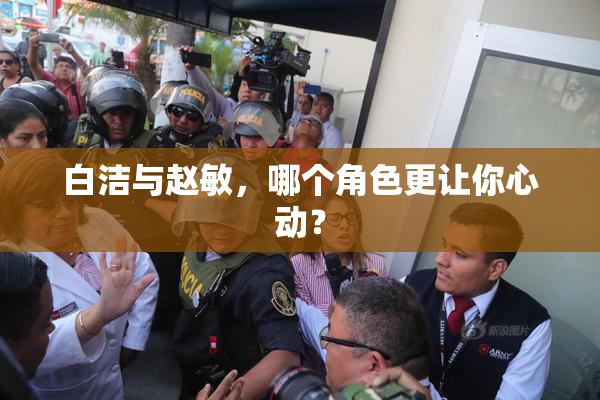 白洁与赵敏，哪个角色更让你心动？