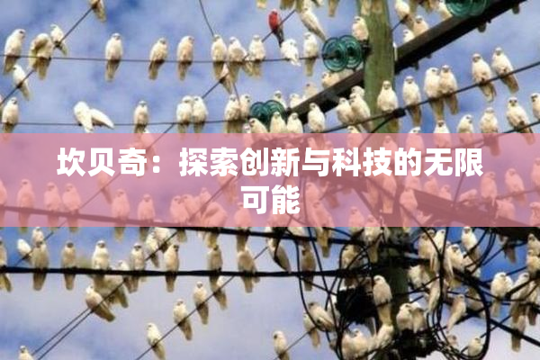 坎贝奇：探索创新与科技的无限可能