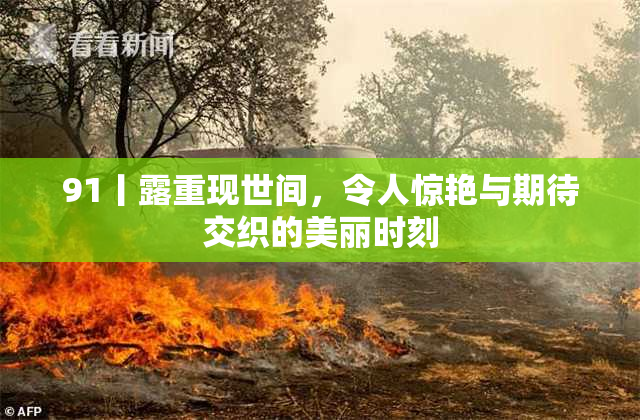 91丨露重现世间，令人惊艳与期待交织的美丽时刻
