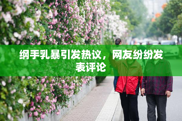 纲手乳暴引发热议，网友纷纷发表评论