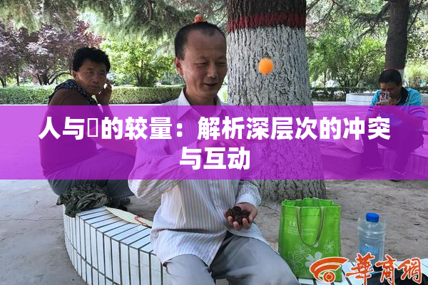 人与嘼的较量：解析深层次的冲突与互动