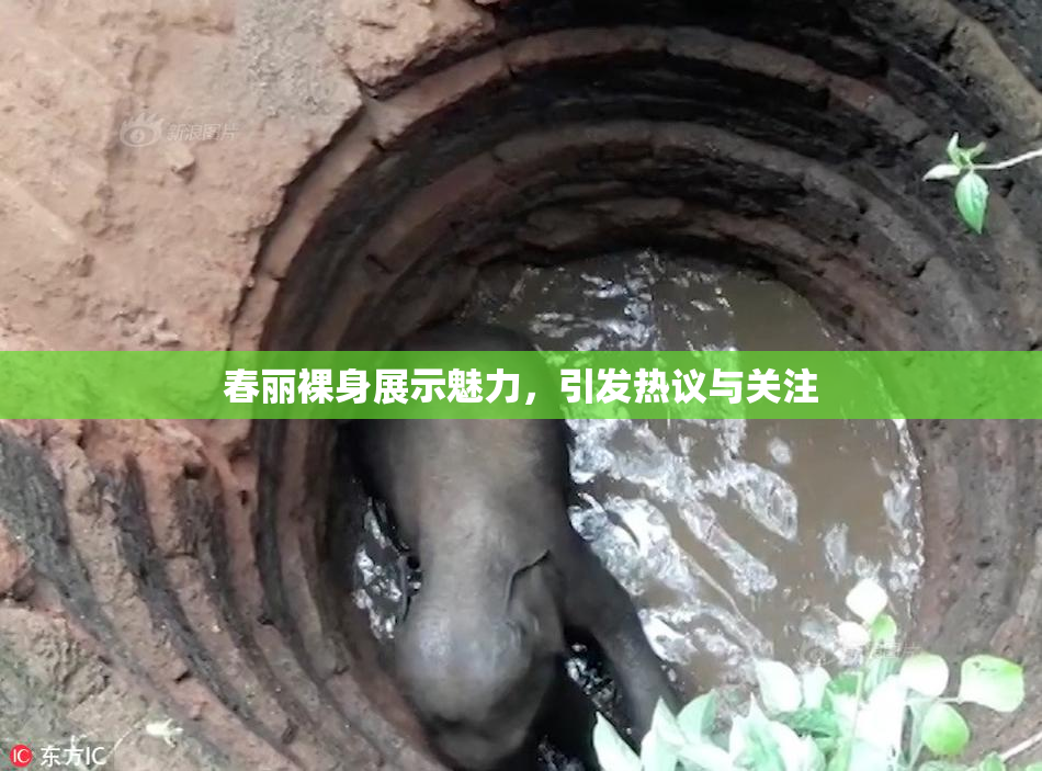 春丽裸身展示魅力，引发热议与关注