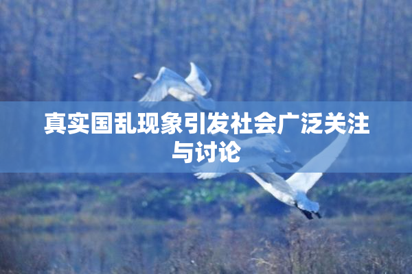真实国乱现象引发社会广泛关注与讨论