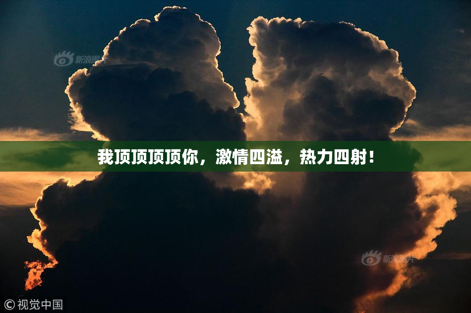 我顶顶顶顶你，激情四溢，热力四射！