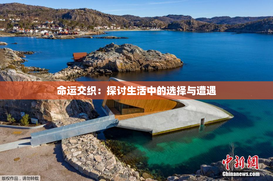 命运交织：探讨生活中的选择与遭遇