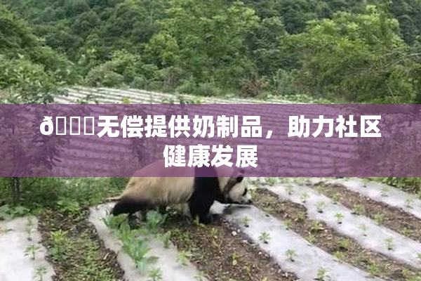 🔞无偿提供奶制品，助力社区健康发展