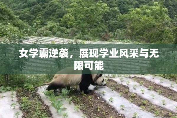 女学霸逆袭，展现学业风采与无限可能