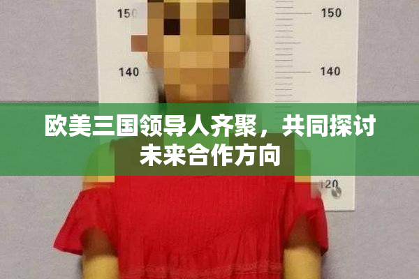 欧美三国领导人齐聚，共同探讨未来合作方向