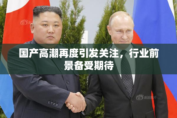 国产高潮再度引发关注，行业前景备受期待