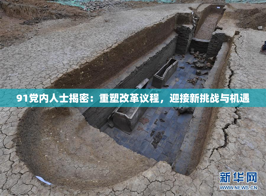 91党内人士揭密：重塑改革议程，迎接新挑战与机遇