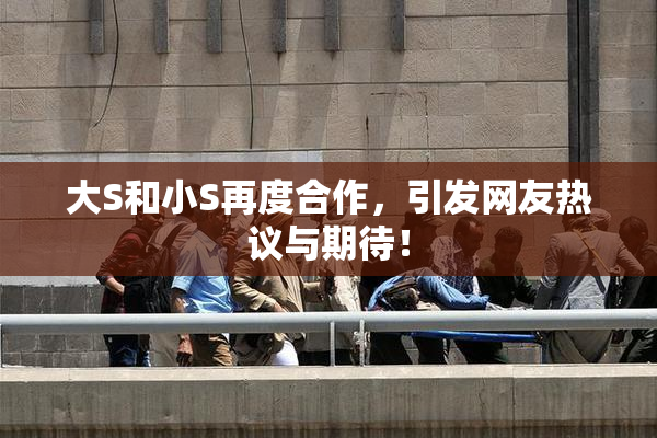 大S和小S再度合作，引发网友热议与期待！