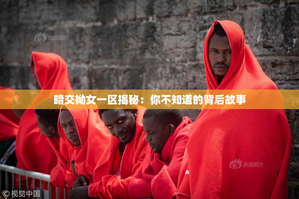 暗交拗女一区揭秘：你不知道的背后故事