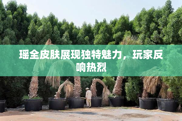 瑶全皮肤展现独特魅力，玩家反响热烈