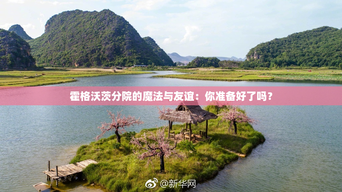 霍格沃茨分院的魔法与友谊：你准备好了吗？