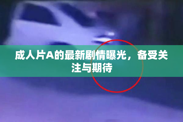 成人片A的最新剧情曝光，备受关注与期待