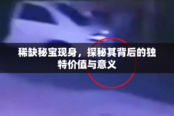 稀缺秘宝现身，探秘其背后的独特价值与意义