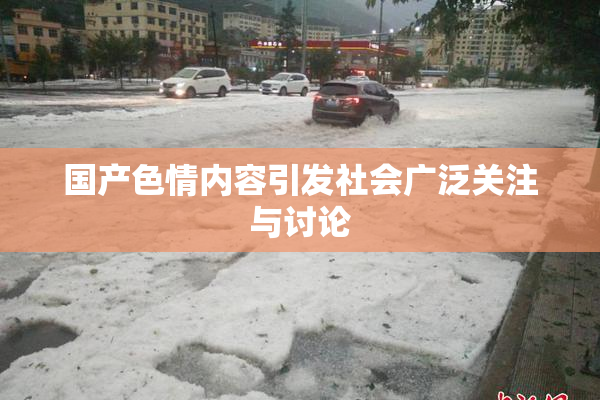 国产色情内容引发社会广泛关注与讨论