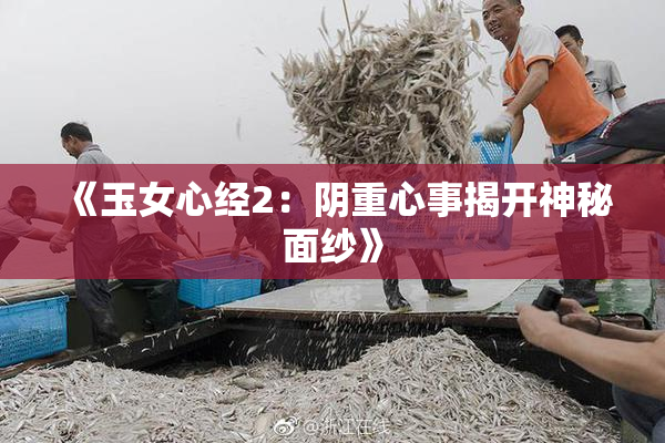 《玉女心经2：阴重心事揭开神秘面纱》