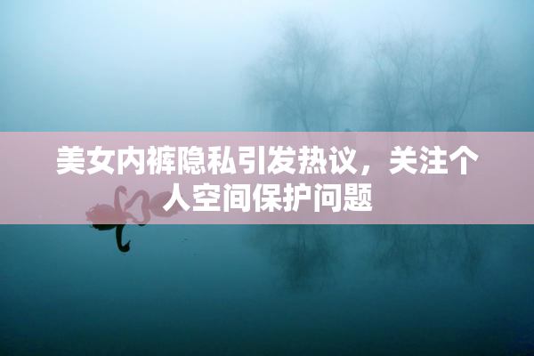 美女内裤隐私引发热议，关注个人空间保护问题