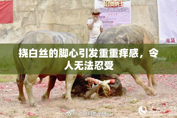 挠白丝的脚心引发重重痒感，令人无法忍受