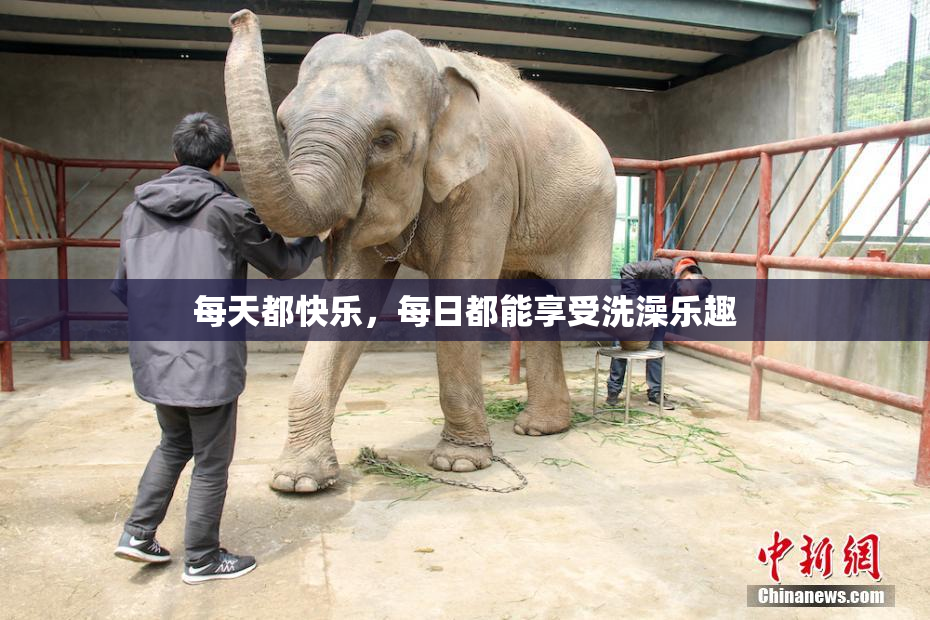 每天都快乐，每日都能享受洗澡乐趣