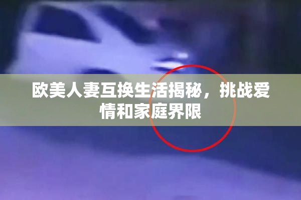 欧美人妻互换生活揭秘，挑战爱情和家庭界限