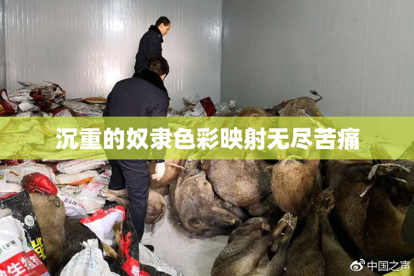 沉重的奴隶色彩映射无尽苦痛
