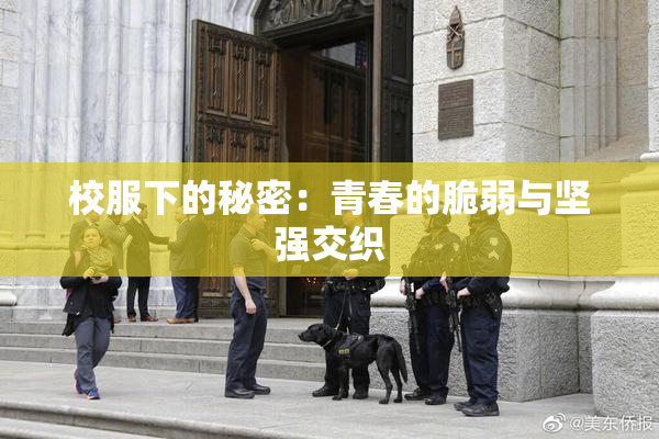 校服下的秘密：青春的脆弱与坚强交织