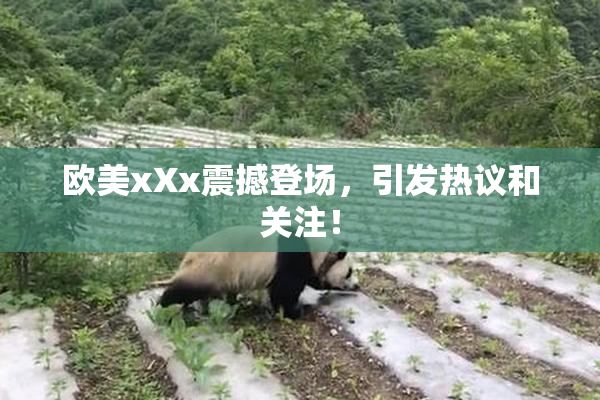 欧美xXx震撼登场，引发热议和关注！