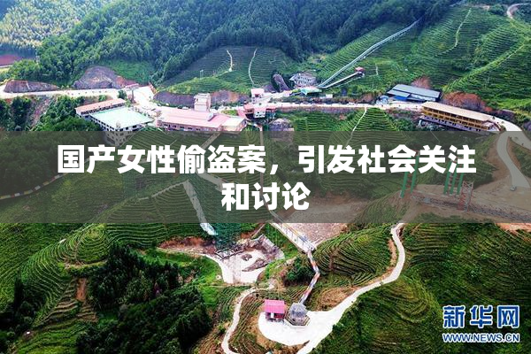 国产女性偷盗案，引发社会关注和讨论