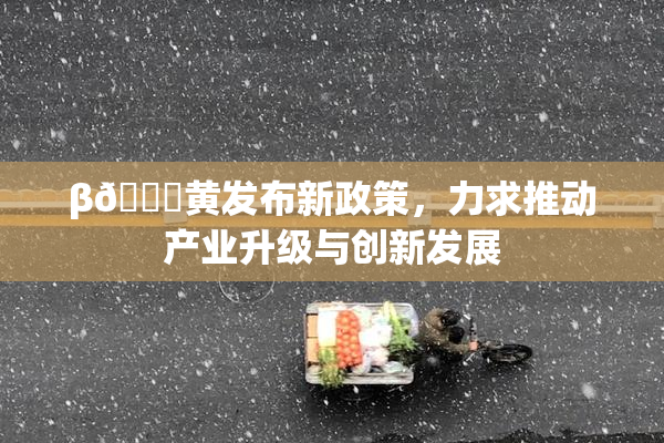 β🔞黄发布新政策，力求推动产业升级与创新发展