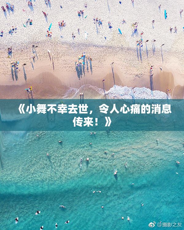 《小舞不幸去世，令人心痛的消息传来！》
