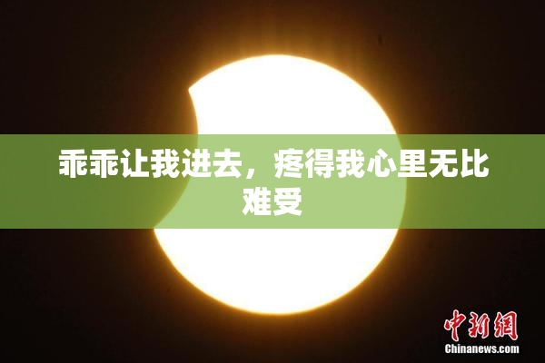 乖乖让我进去，疼得我心里无比难受