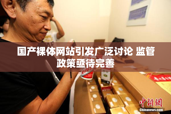 国产裸体网站引发广泛讨论 监管政策亟待完善