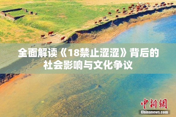 全面解读《18禁止涩涩》背后的社会影响与文化争议