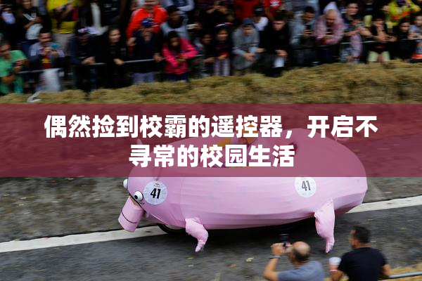 偶然捡到校霸的遥控器，开启不寻常的校园生活