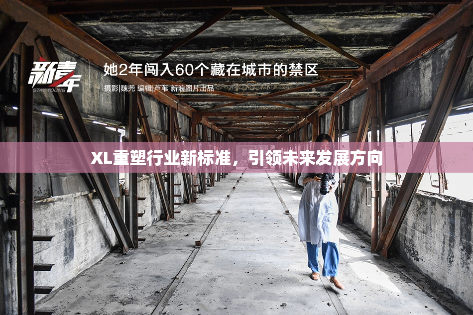 XL重塑行业新标准，引领未来发展方向
