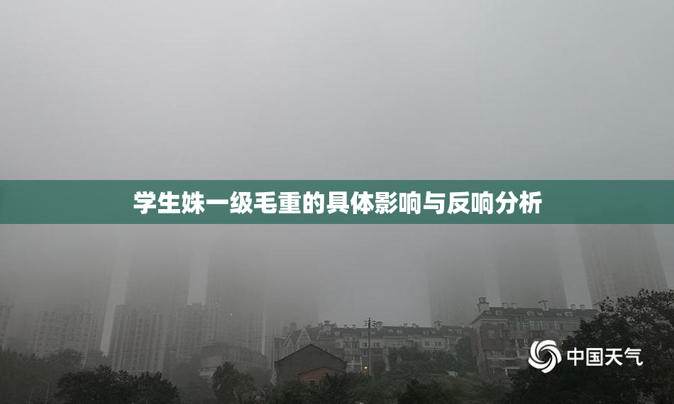 学生姝一级毛重的具体影响与反响分析