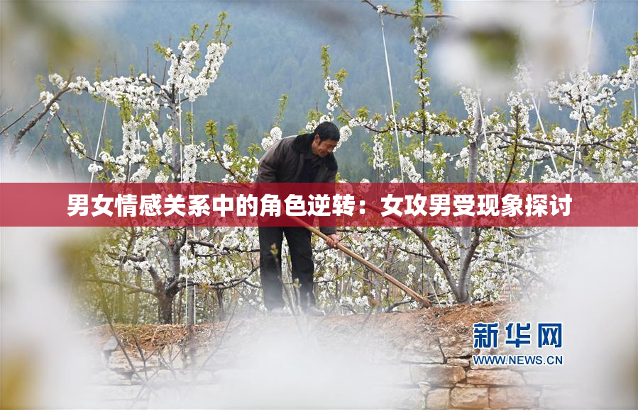 男女情感关系中的角色逆转：女攻男受现象探讨