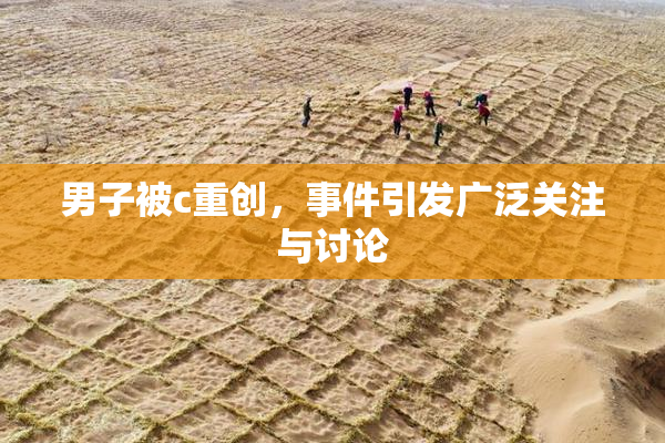 男子被c重创，事件引发广泛关注与讨论