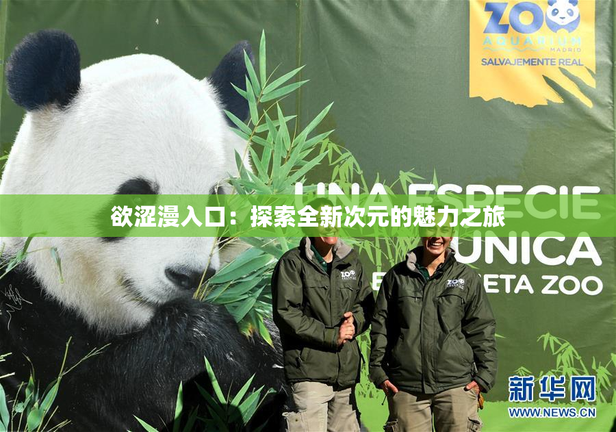 欲涩漫入口：探索全新次元的魅力之旅