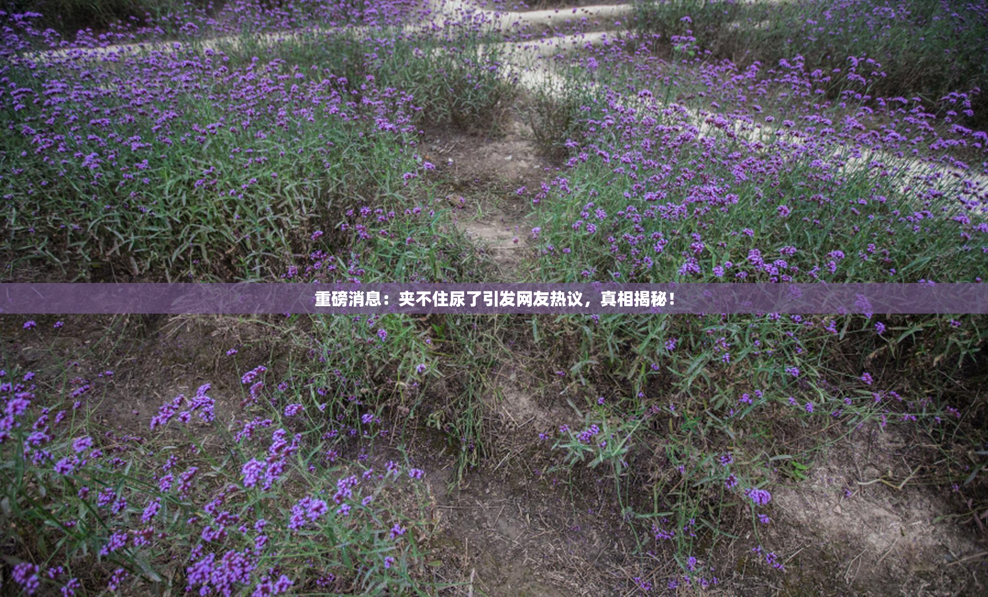 重磅消息：夹不住尿了引发网友热议，真相揭秘！